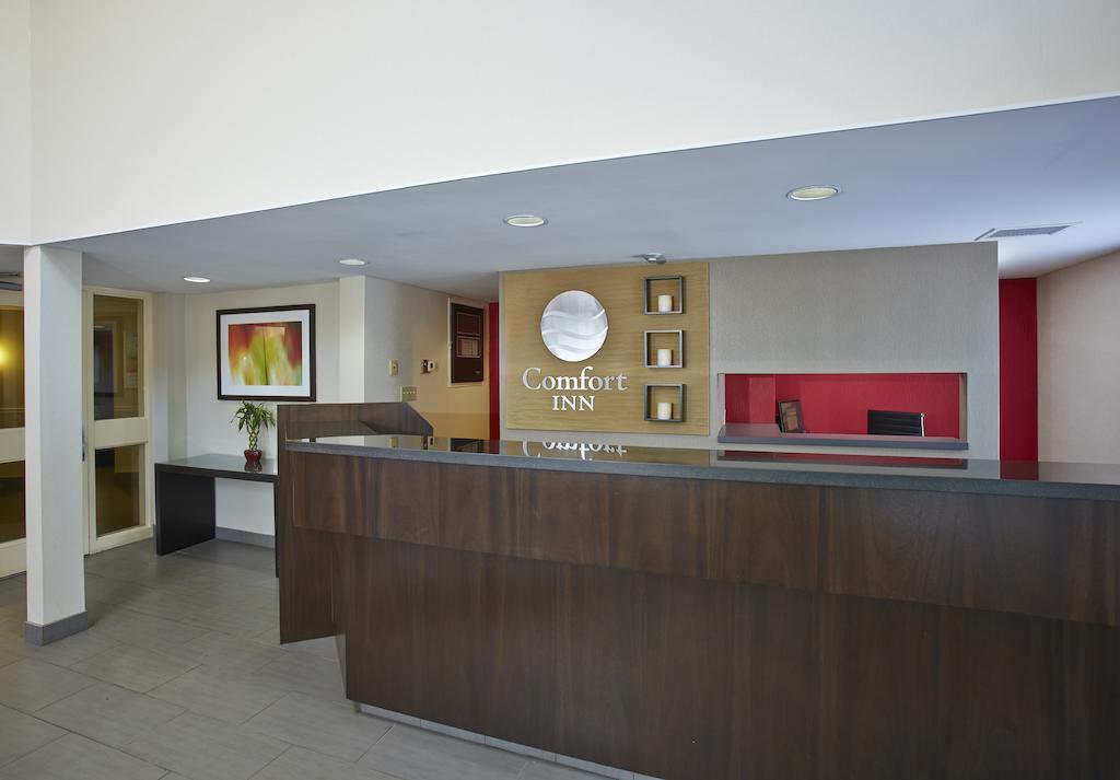 Comfort Inn Brandon Ngoại thất bức ảnh