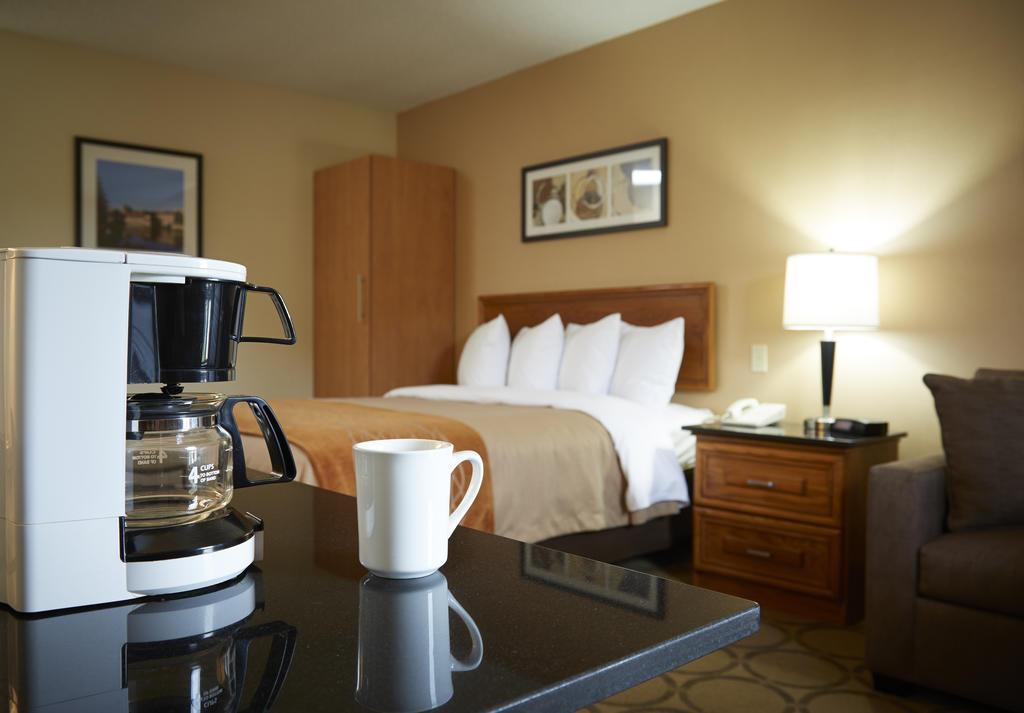 Comfort Inn Brandon Ngoại thất bức ảnh